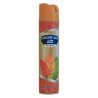 Osvěžovač vzduchu Fresh air 300 ml anti tobacco