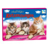 Katzenzungen 100g Kočky hořké (červené)